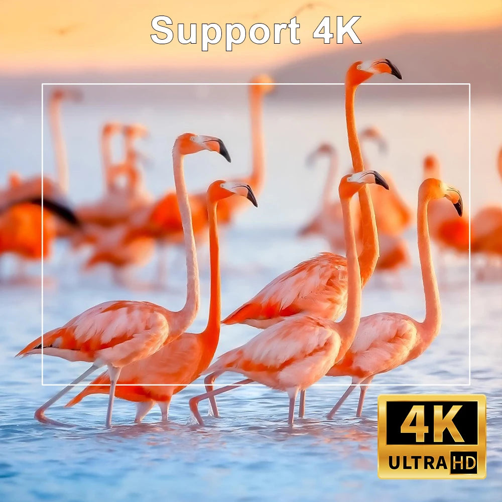 Magcubic 4K Portable Cinema Experience
