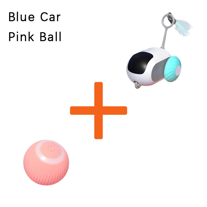 Interactive car for cats