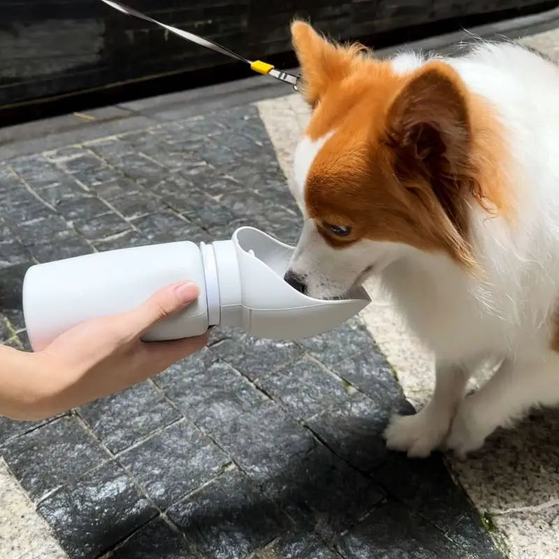 550ml Portable Pet Water Bottle