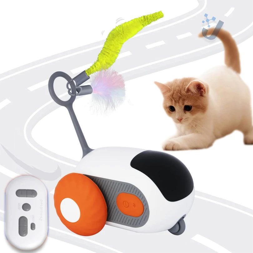 Interactive car for cats