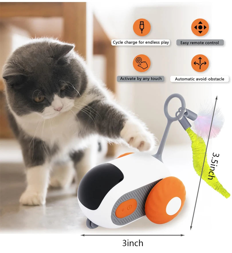 Interactive car for cats