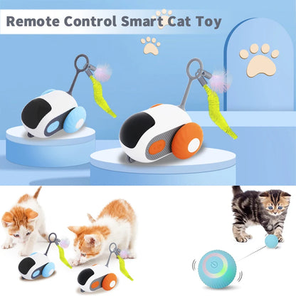 Interactive car for cats