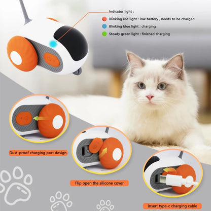 Interactive car for cats