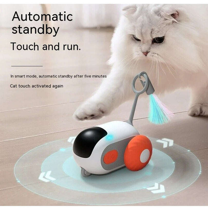 Interactive car for cats